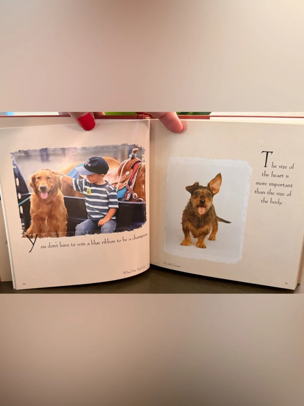 3 Dog Books/Bookmark~Love of Goldens, 101 Uses for a Golden, What Dogs Teach Us